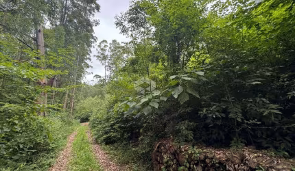 ÁREA COMPOSTA POR 5,5ha ESCRITURADA
