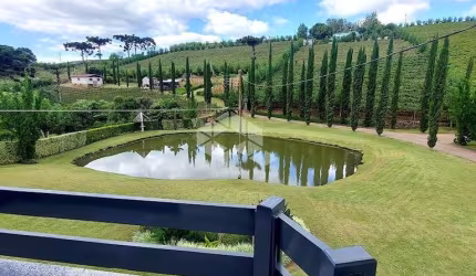 Área rural com casa de 7 quartos/dormitórios em Monte Belo do Sul