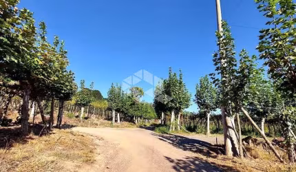 Sítio no alto do Vale dos Vinhedos