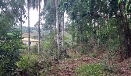 chácara em Linha Paulina