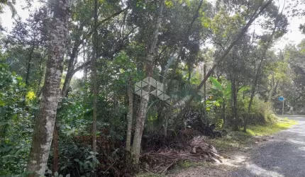 Terreno em Canto Grande/Mariscal Bombinhas SC