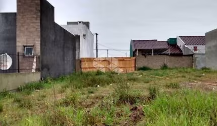 Terreno 7 x 20 no Centro Novo