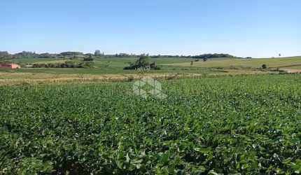Chácara/Sítio/ àrea de terras  à  venda em Itaara.