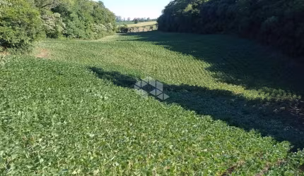 Chácara/Sítio/ àrea de terras à venda em Itaara.