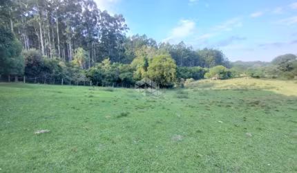 Propriedade Rural à Venda - 46 Hectares | Santa Maria/RS