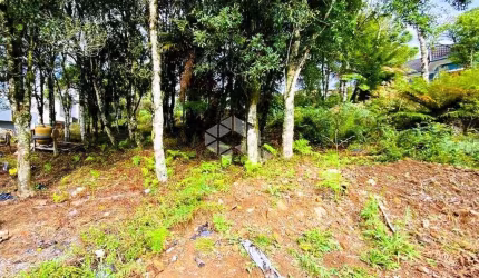 Terreno a venda de 450m², localizado no Loteamento Vivendas do Arvoredo.