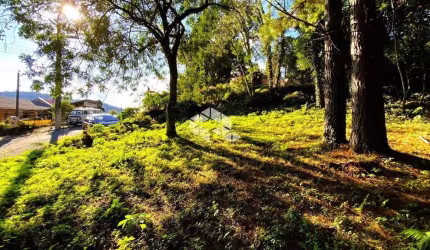 Terreno de 769m² a venda em Gramado.
