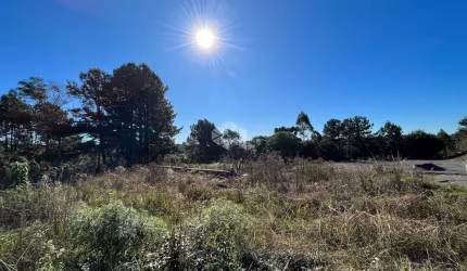 Área de investimento na Principal Avenida de Gramado e Canela