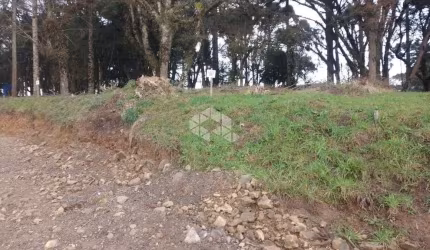 Terreno 692,67m²,  localizado no bairro são luis , canela