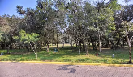 Terreno em condomínio fechado em Canela
