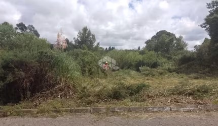Terreno com 360m² em São Francisco de Paula