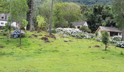 Sítio à venda na Linha Araripe, Gramado - Casa com 2 quartos e 180m² de área construída.