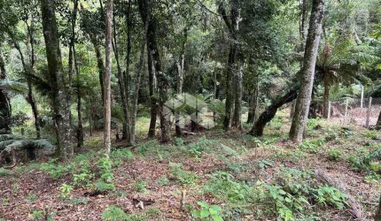Terreno a venda em Gramado