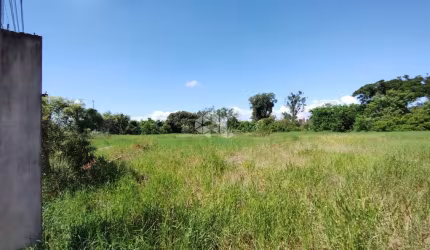 Terreno à venda  - bairro Nova Sapucaia  RS-118 - Sapucaia do Sul