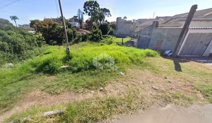 Terreno com 390m² de área total no Bairro Uberaba a venda por R$ 320.000