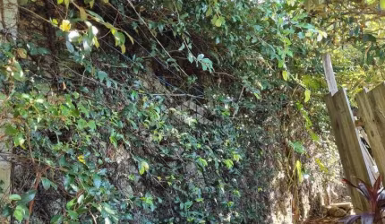 Terreno  para venda   com  11 x 44 m²  no bairro Santa Tereza/Menino Deus em Porto Alegre/RS