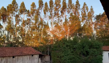 Chácara com 5 dormitórios à venda, 72600 m² por R$ 1.400.000,00 - Torre de Pedra - Torre de Pedra/S