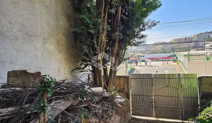 Terreno à venda em Piqueri