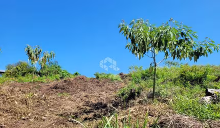 Ótimo terreno de 903,60m2 no Bairro São Luiz em Caxias Do Sul