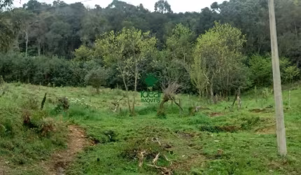 Ótima área de terras na Vila Maestra em Caxias do Sul sentido Flores da Cunha