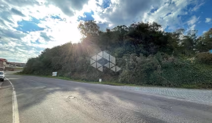 - Terreno Industrial próxmo a Rota do Sol em Garibaldi