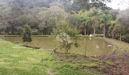Lindo sítio!
