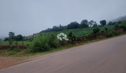 Área próxima ao centro de Coronel Pilar