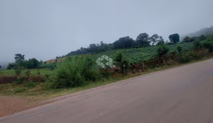 Área próxima ao centro de Coronel Pilar