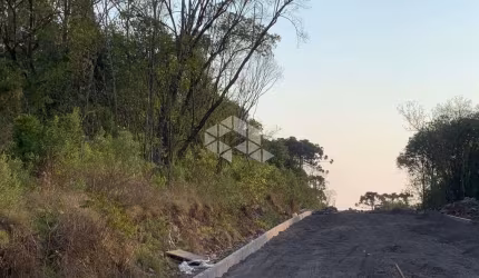 Área de terras em perímetro urbano*