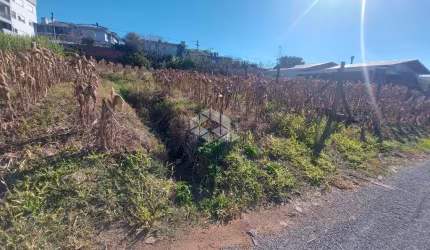 Terreno no bairro Alfândega!
