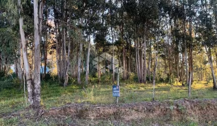 Amplo terreno próximo ao centro de Garibaldi