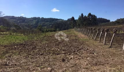 Área de 7,2Ha em Coronel Pilar!