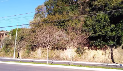 Amplo terreno na rua Buarque de Macedo