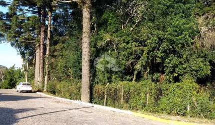 Amplo terreno de esquina