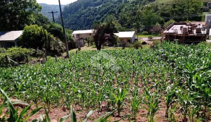 Terreno ideal para moradia, no centro de Boa Vista do Sul