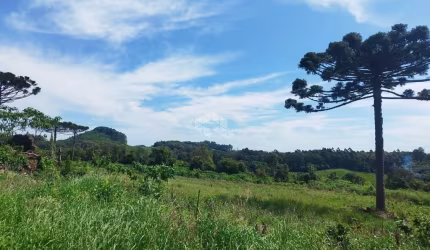 Àrea de terra em Marcorama/Garibaldi!