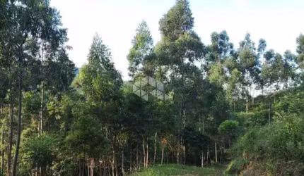 Sítio / chácara com dois hectare , a 4 km da BR 101.