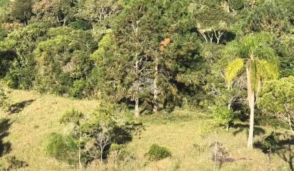 Sítio / chácara com  34,5 hectares em Imaruí