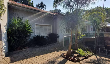 Casa térrea com 3 dormitórios 500m  Vila Albertina