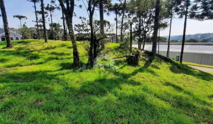 Terreno em aclive, 800m², no Condomínio Aspen Mountain em Gramado