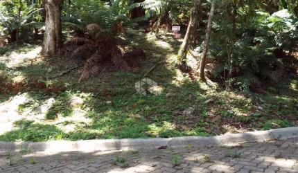 Terreno em condomínio fechado, com 885,59 m2 na cidade de Canela.