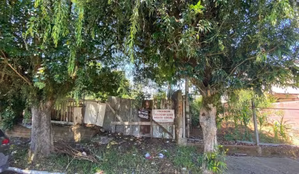Terreno localizado no bairro São José com 10 metro de frente e 31 de fundos