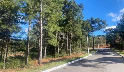 TERRENO EM GRAMADO