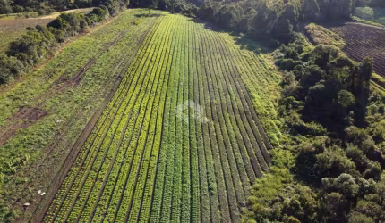 ? **Chácara Plana para Investimento, Comércio ou Moradia em Flores da Cunha!** ?
