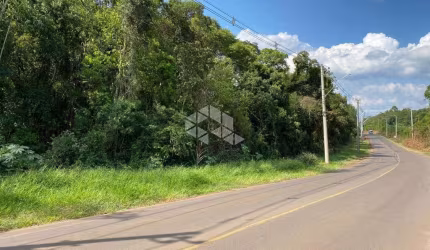 Área de terra em Ivoti - Palmares