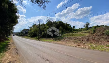 Área de terra no bairro Palmares - Ivoti