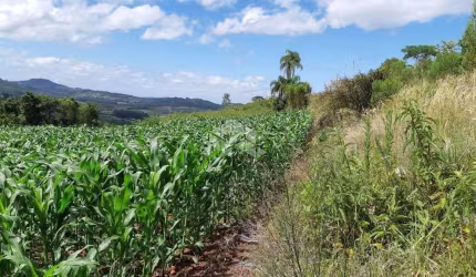 Excelente área com vista panorâmica