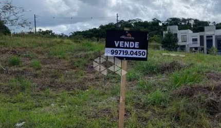 Terreno pronto para construir no bairro Tifa Martins, Jaraguá do Sul