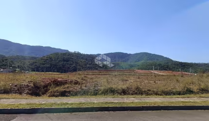 Terreno Três Rios do Norte Paineiras