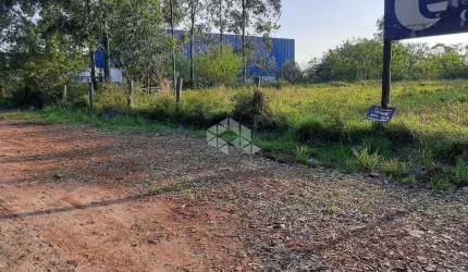 Terreno 7668m2 em Cachorreira